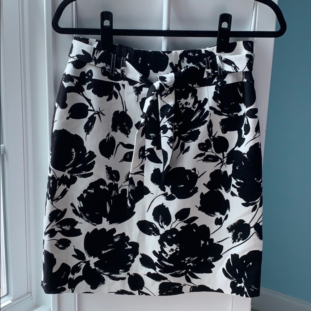 Beautiful Ladies Skirt